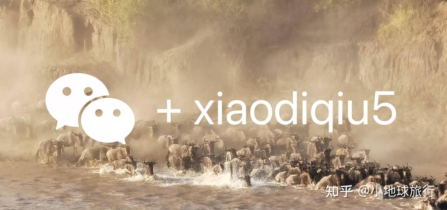 40张照片讲清乌兹别克斯坦有啥好玩｜中亚旅行小众攻略 - 知乎