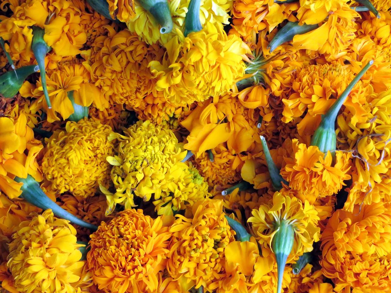 2. 花梨木家具特点