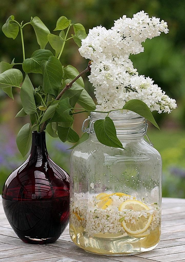 盆栽香草如何赚钱