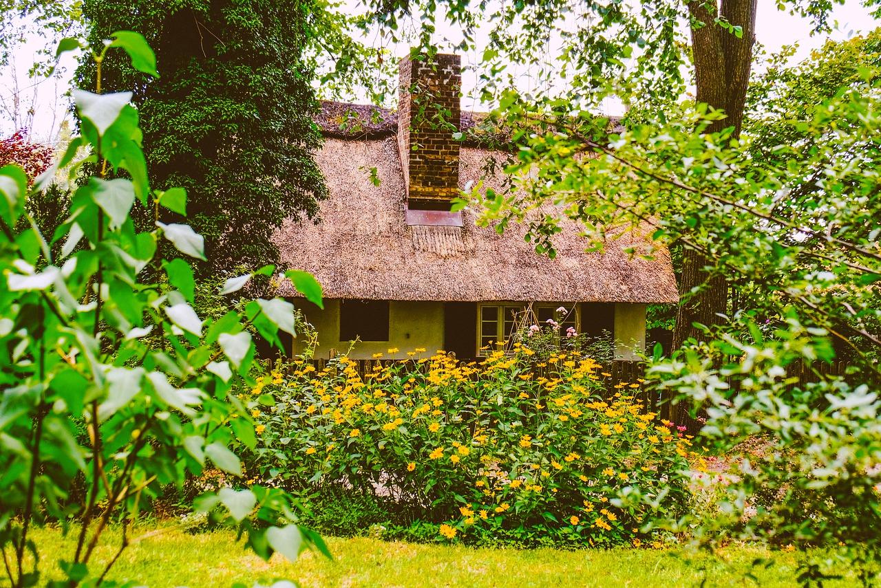 阳光棚清洁步骤