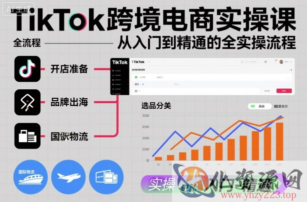 TikTok跨境电商实操课，从入门到精通的全实操流程