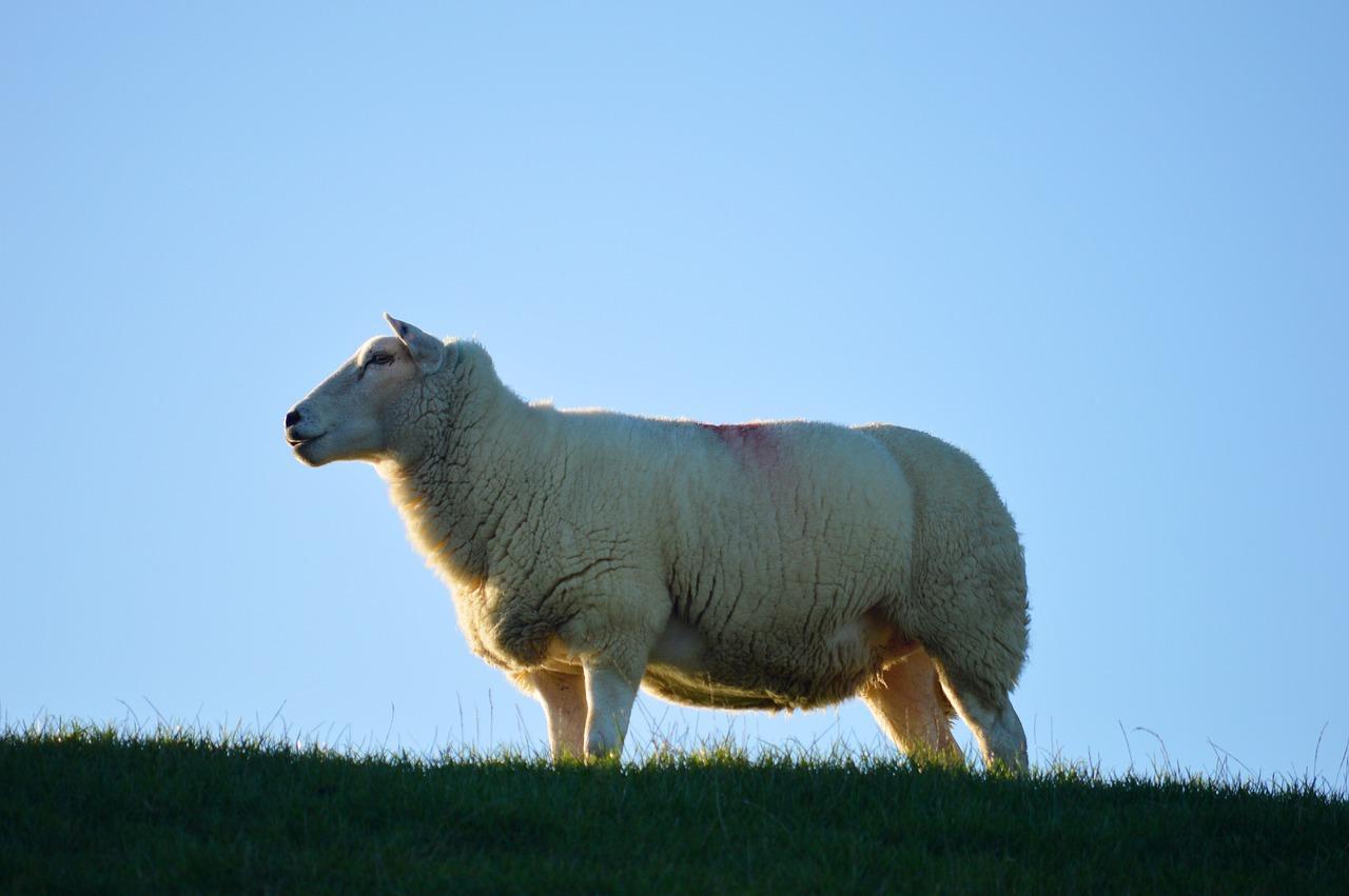 4. 初中周边配套