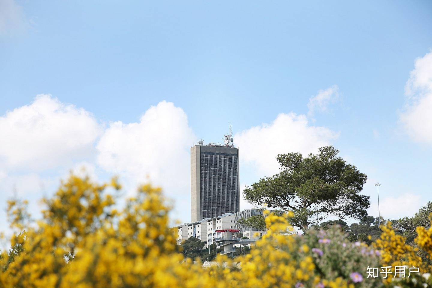 在以色列海法大学读书是一种什么体验? - 知乎