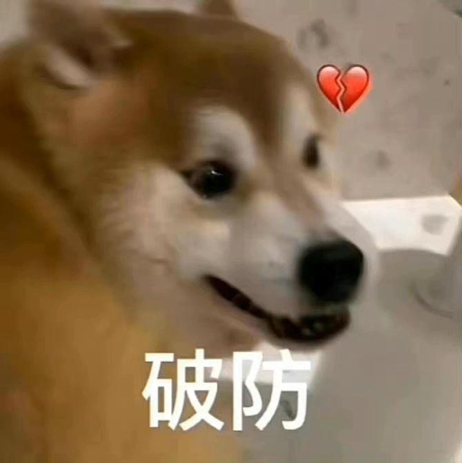 有没有特别搞笑又欠揍的表情包 ? - 知乎