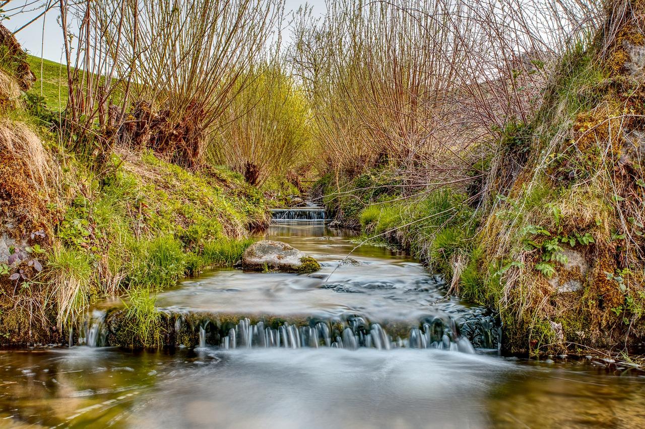 2. 定期更换水桶