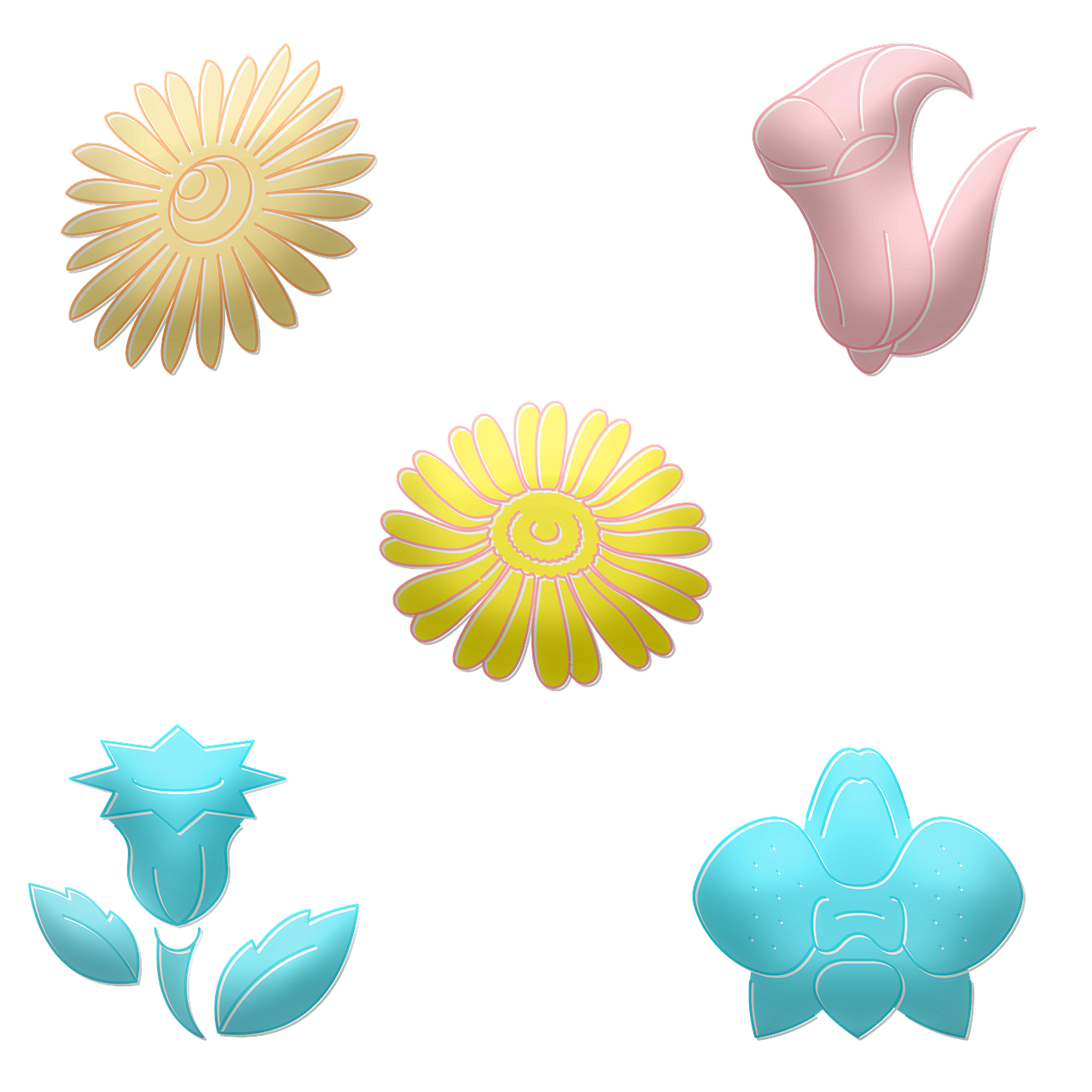 4. 丁香药用价值