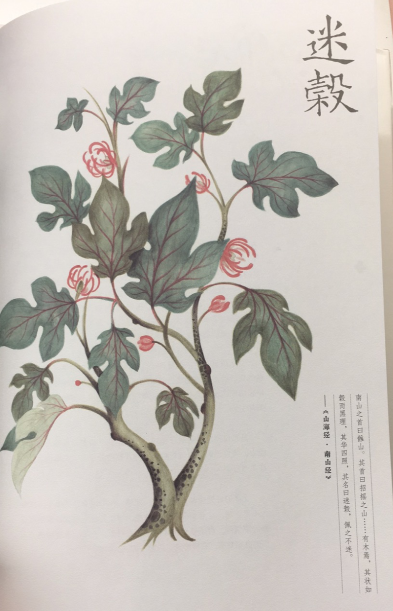 《山海经·南山经》异域奇兽【古今对照】整理——“南山一经”篇(上) - 知乎