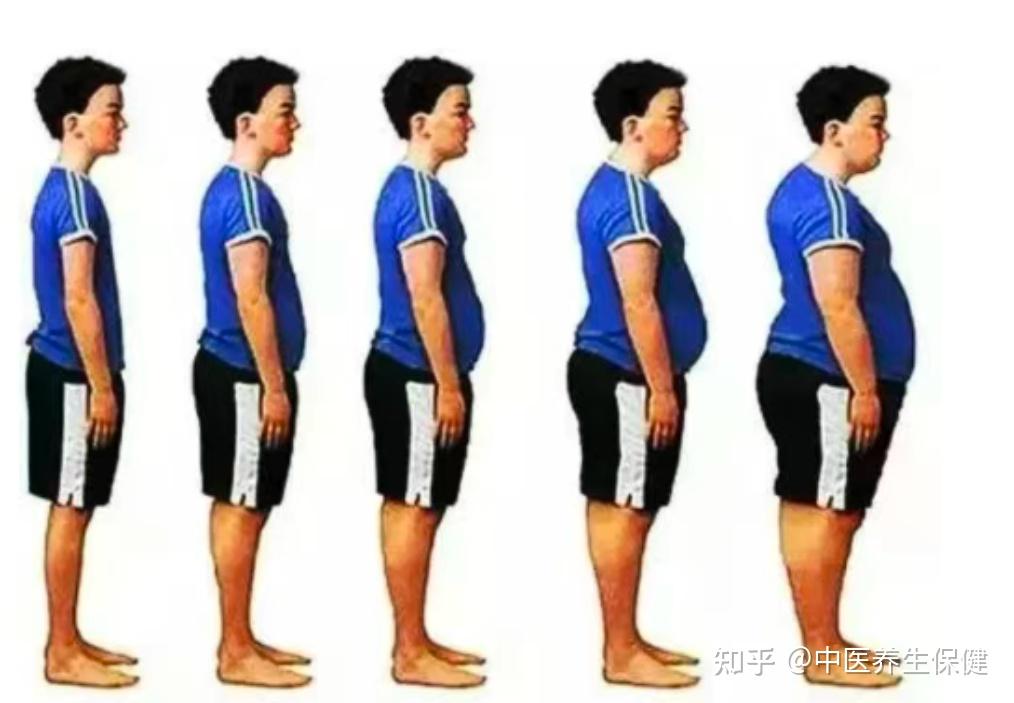 为什么说胖人多虚,胖人多湿? - 知乎