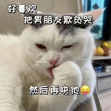 撩男友可爱猫咪表情包