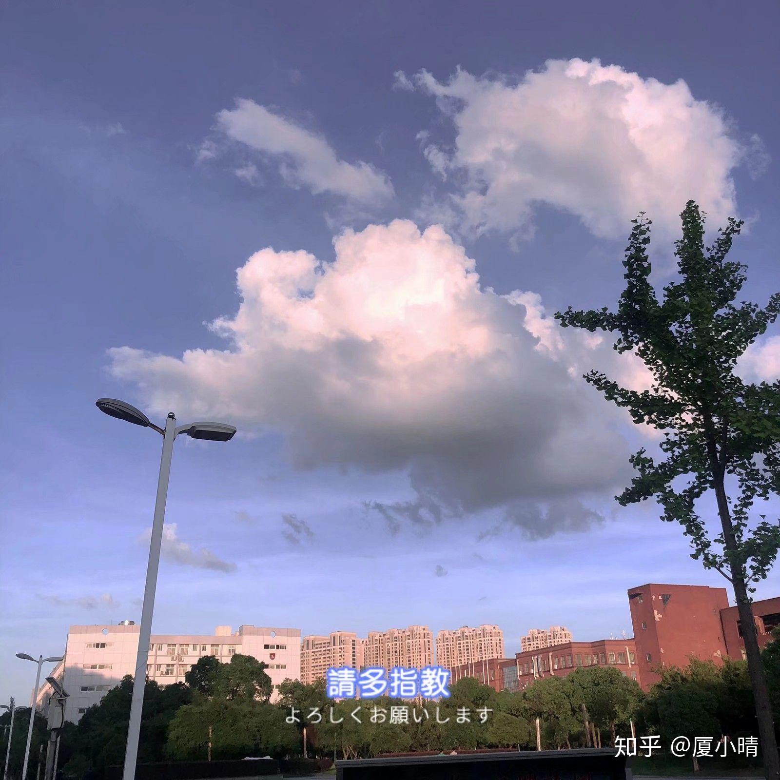 可以分享一张你手机里最好看的一张照片吗? - 知乎