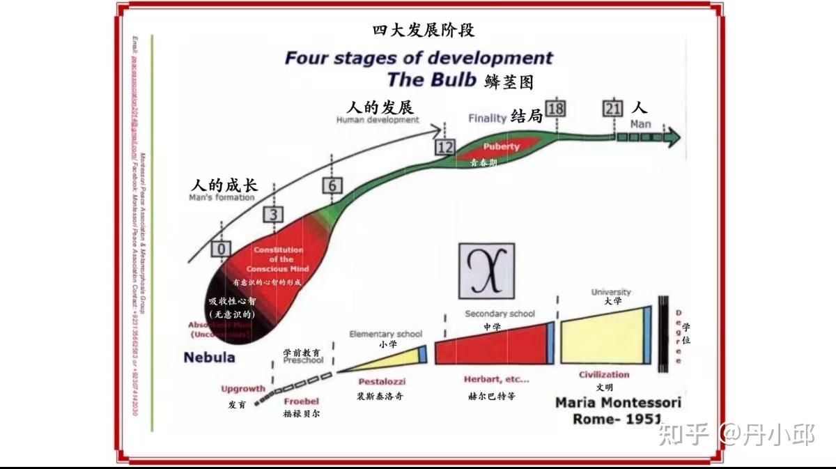 精神胚胎#四大发展阶段#幼儿教育#儿童教育- 知乎