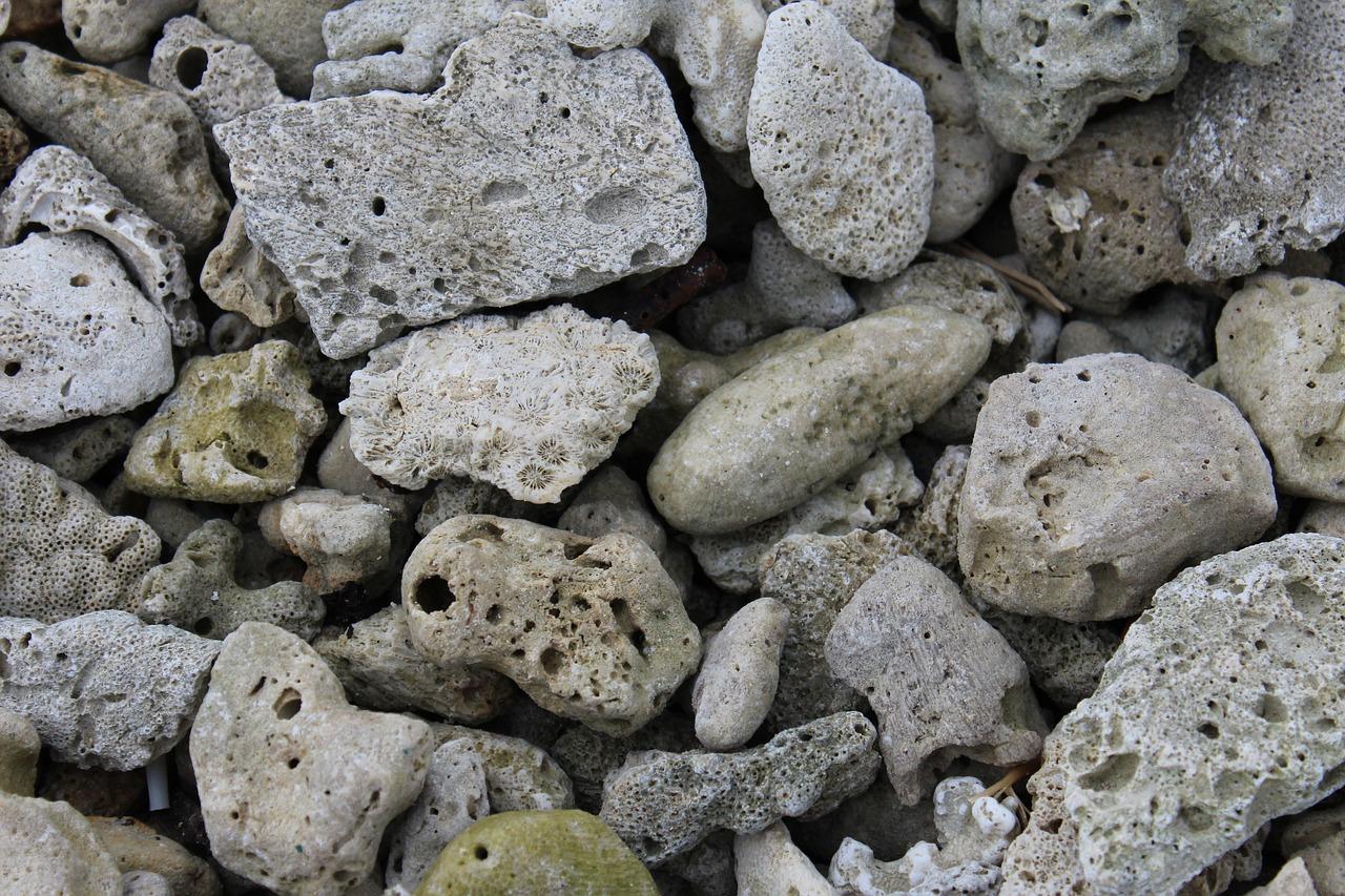 3. 东盟城用地面积