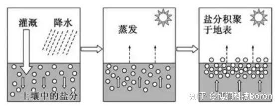博润科技|盐碱地治理:重塑土壤生命力! - 知乎
