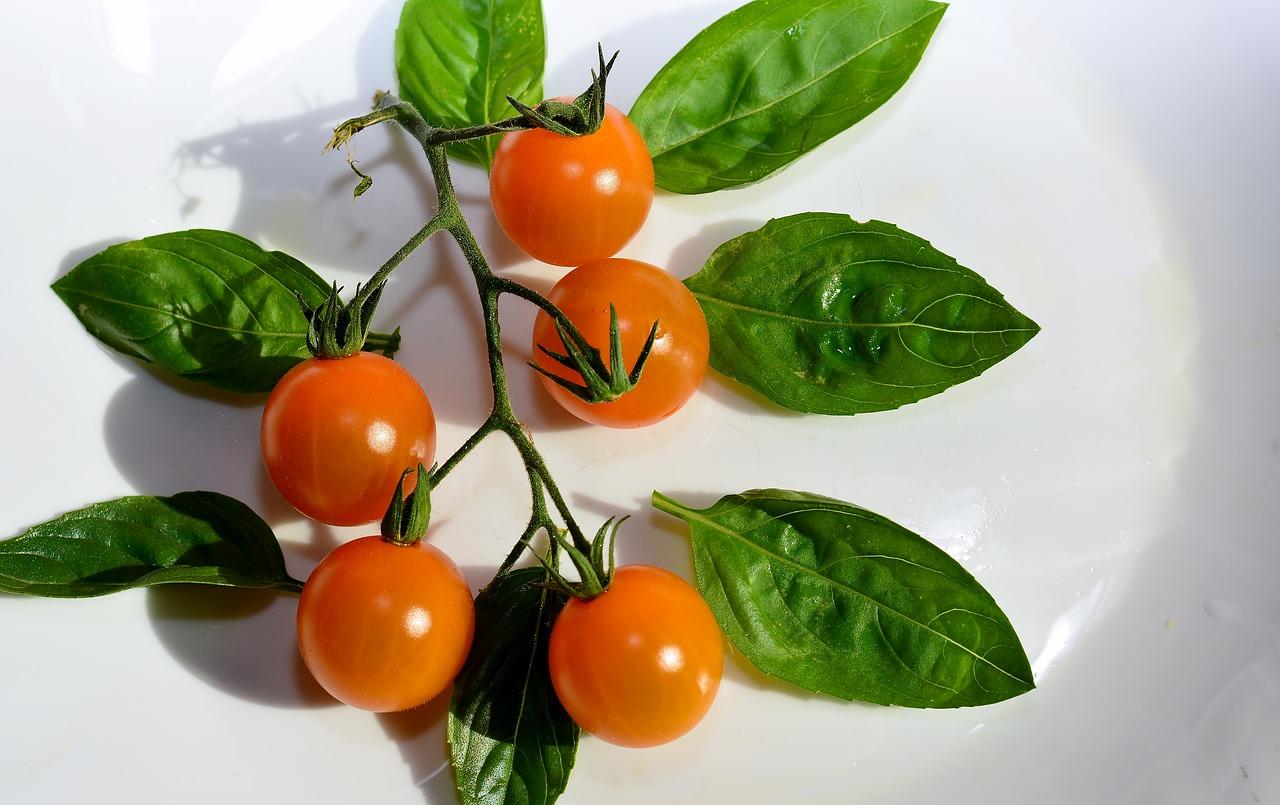 1. 青瓜种植技巧