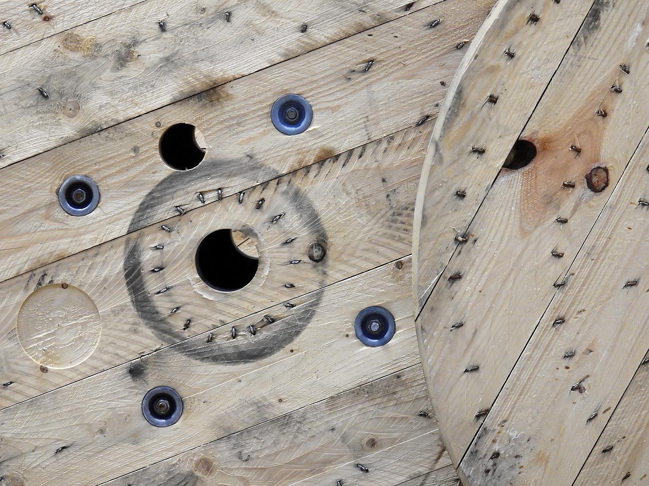 4. 康乃馨花语寓意