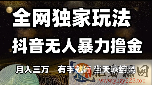 全网独家玩法抖音无人暴力撸金，月入3W，有手就行，当天拿结果【揭秘】