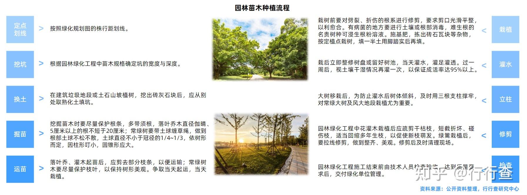 园林苗木有哪些