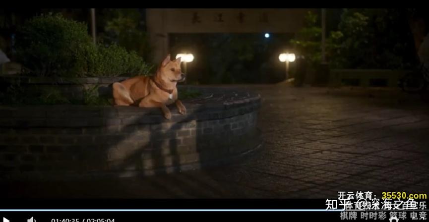 《忠犬八公》拉片分析(剧作、影像、文化等) - 知乎