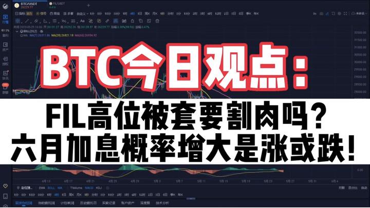 fil币价大跌(fil币价格会回落吗?)