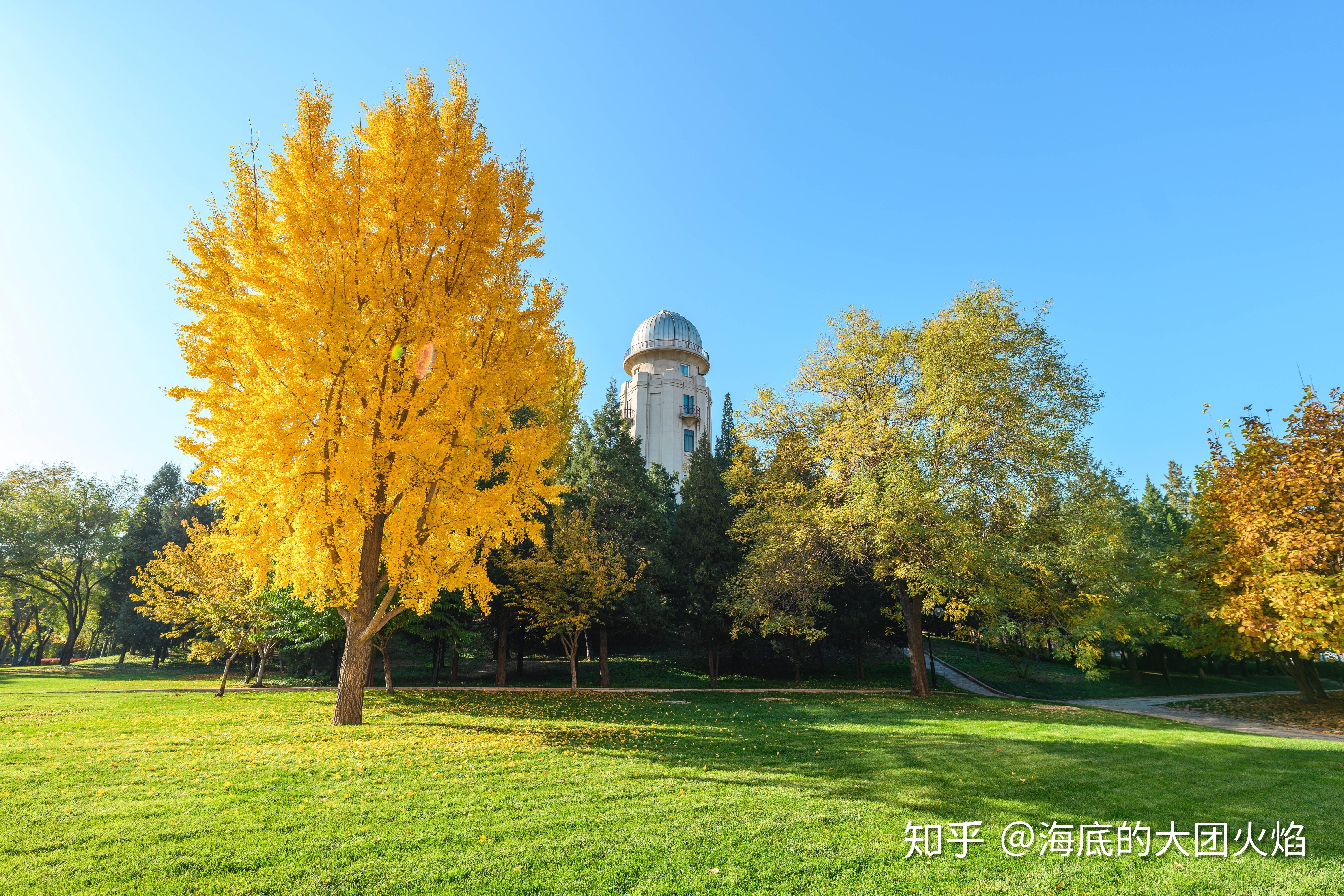 如何评价清华大学2020年招生宣传片《追光少年》? - 知乎