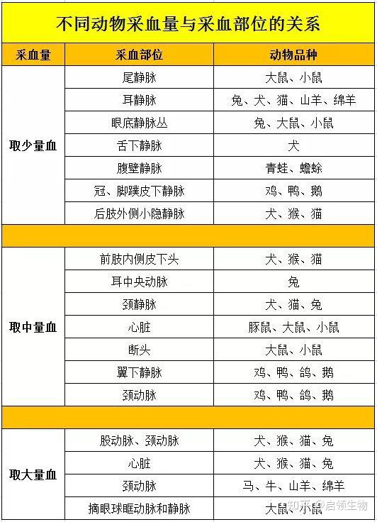动物实验之实验动物血液采集方法 - 知乎