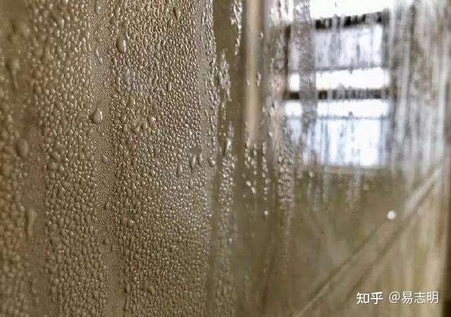 不想在梅雨季做“潮人”，除湿机应该怎么选？为什么空调不能替代除湿机？内附2026年热门机型对比！