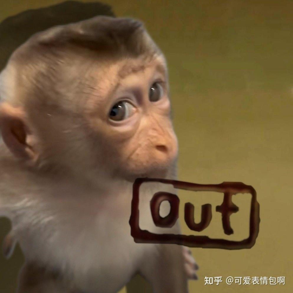 跑男全员out表情包 - 知乎