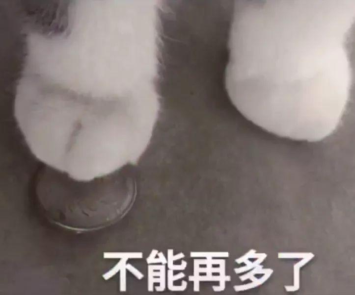 买你一晚猫爪表情包 谁有吖 快分享一下吧? - 知乎