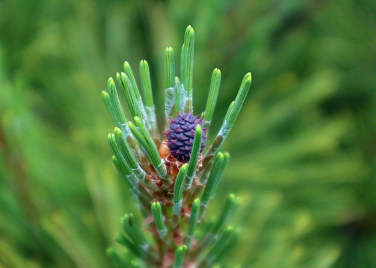 沙发如何扎弹簧