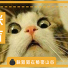 猫能看到什么颜色？猫是不是色盲？ - 知乎
