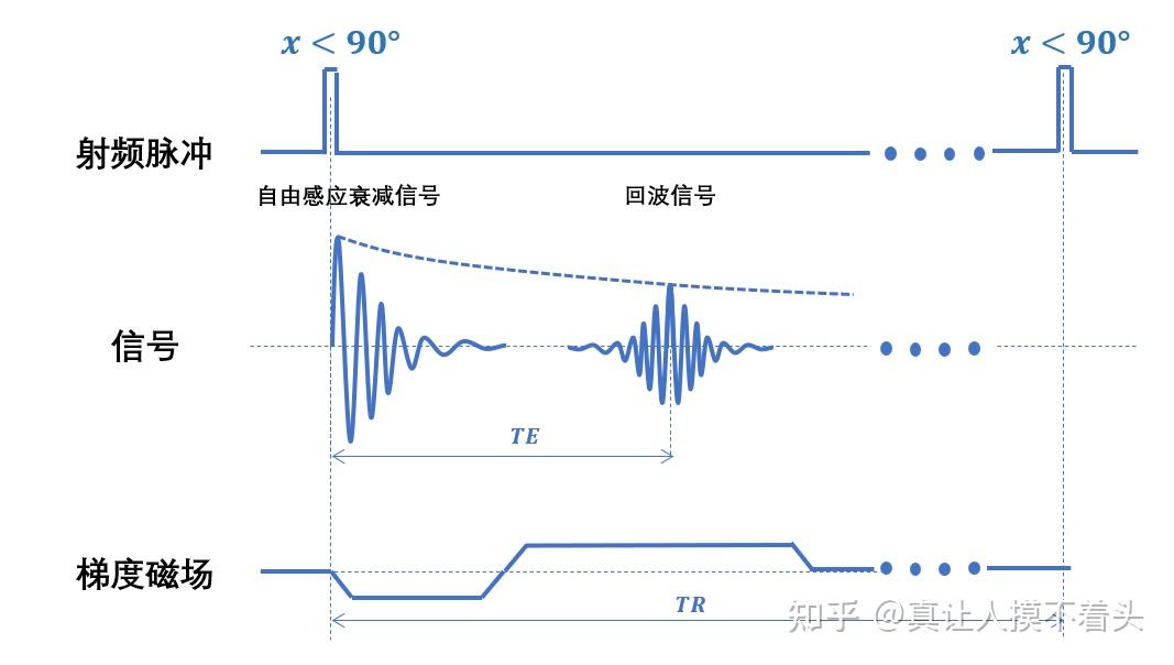 核磁共振原理(五)-成像序列 - 知乎