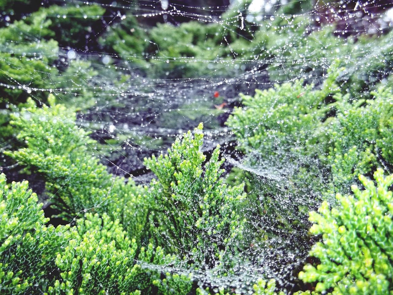 柏木凉椅多少钱