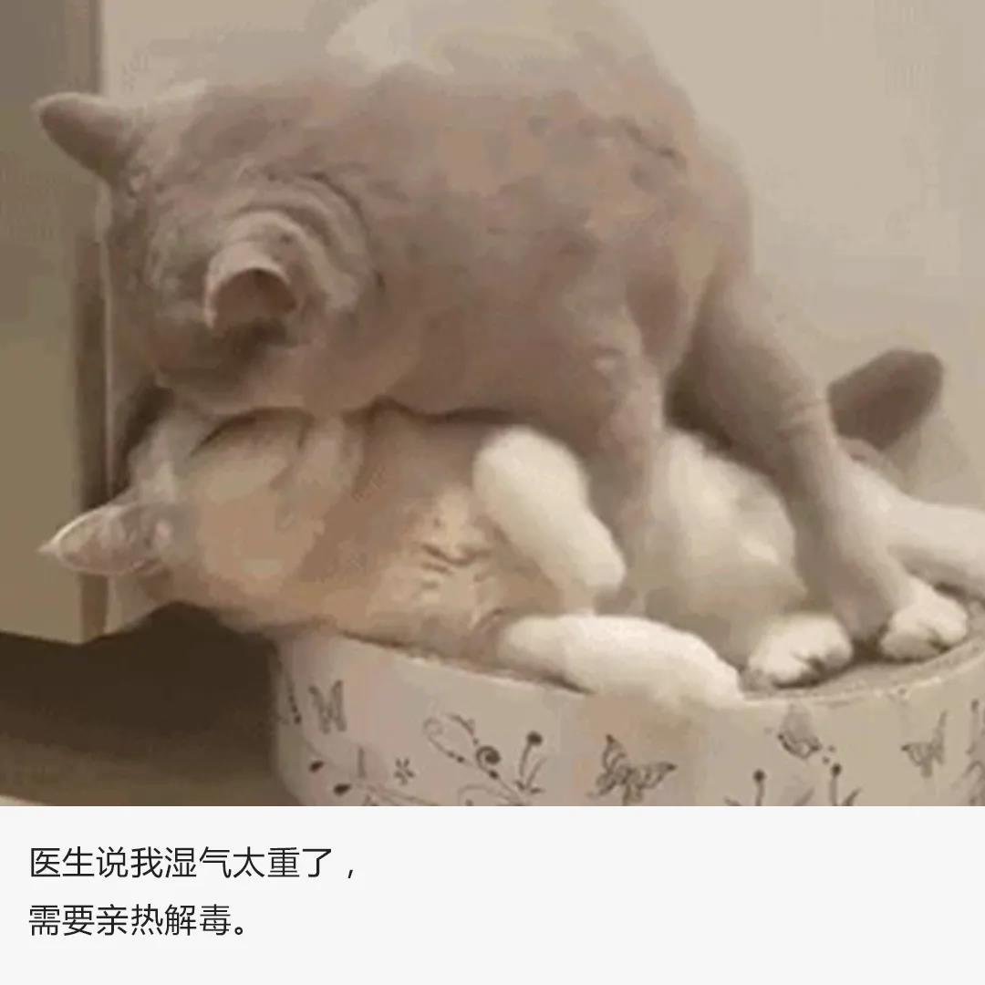 有什么超搞笑的文案
