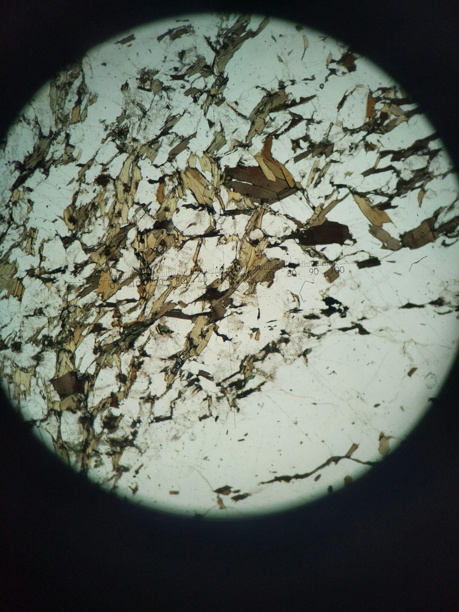 求大神发些偏光显微镜下各种岩石矿物的照片及介绍