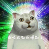 懂个泡泡茶壶