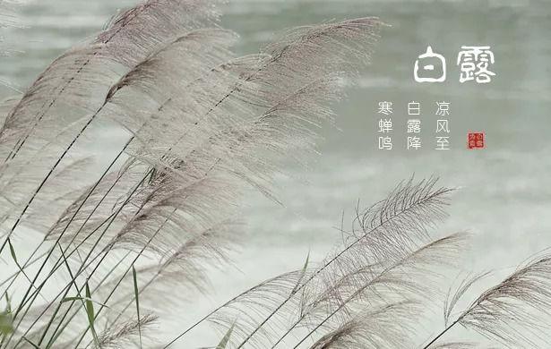 白露为霜一枕新凉