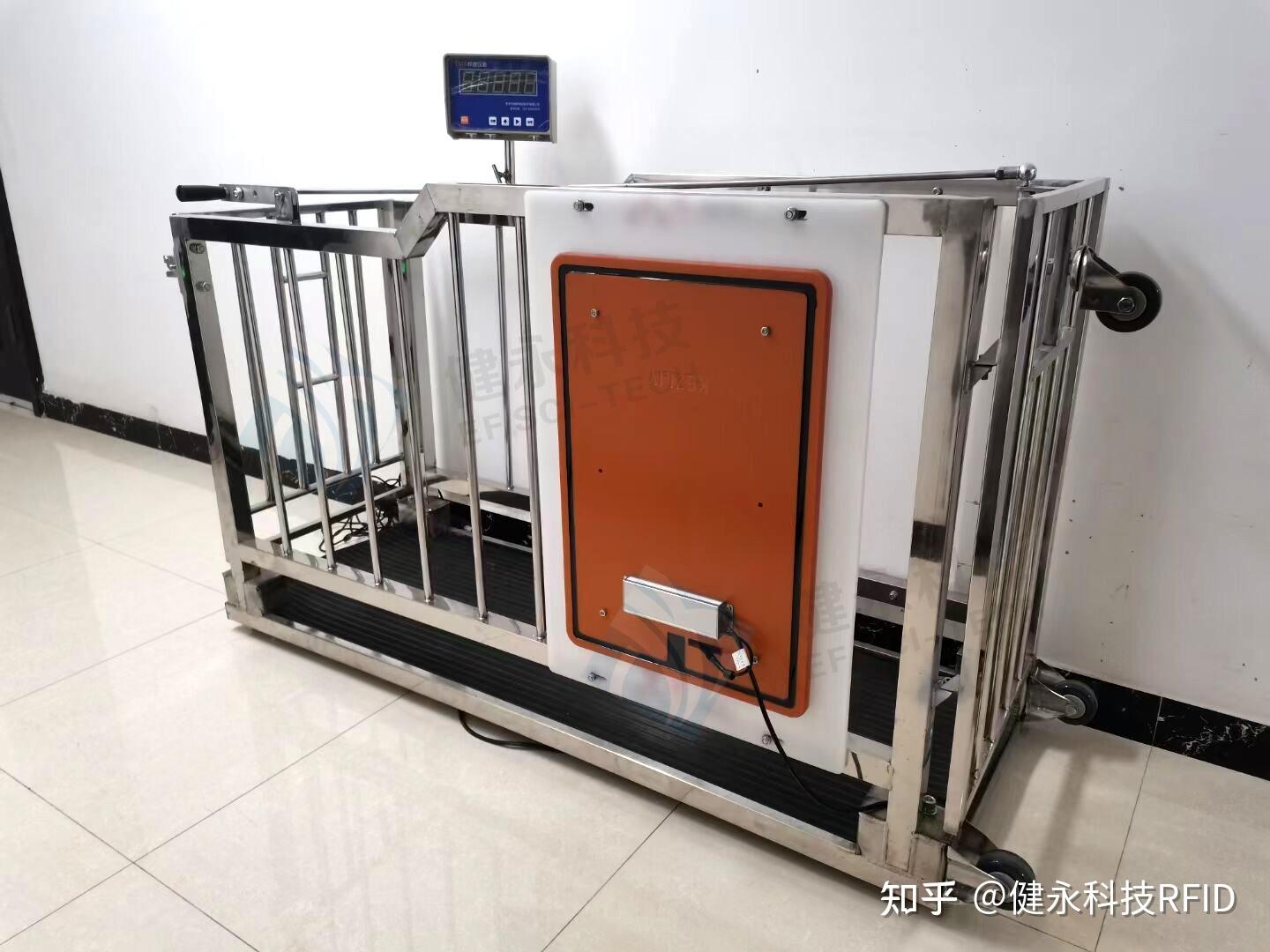 RFID技术在犊牛养殖场中的应用,为养殖户带来便利和优势 - 知乎