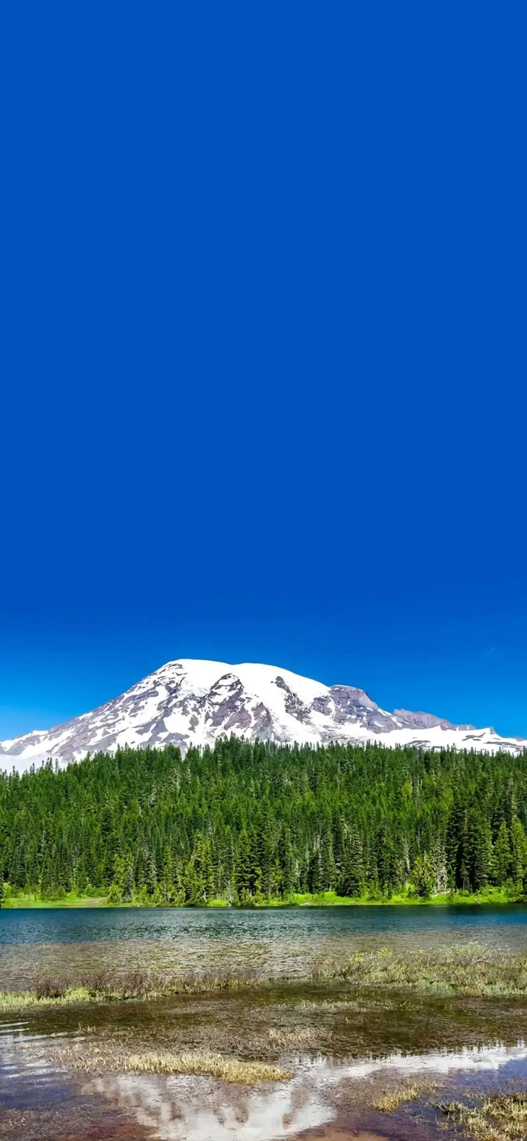 1080_2337竖版 竖屏