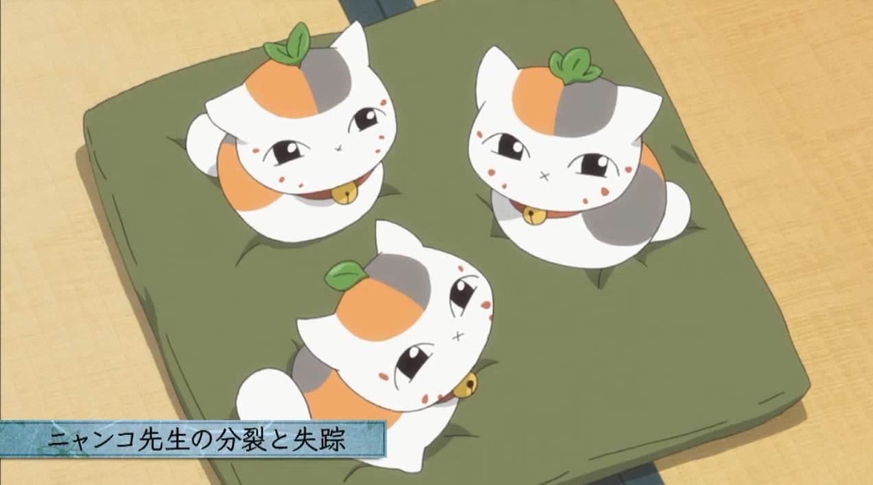 Acgocean 经典日番 夏目友人帐 猫老师萌翻全场 知乎