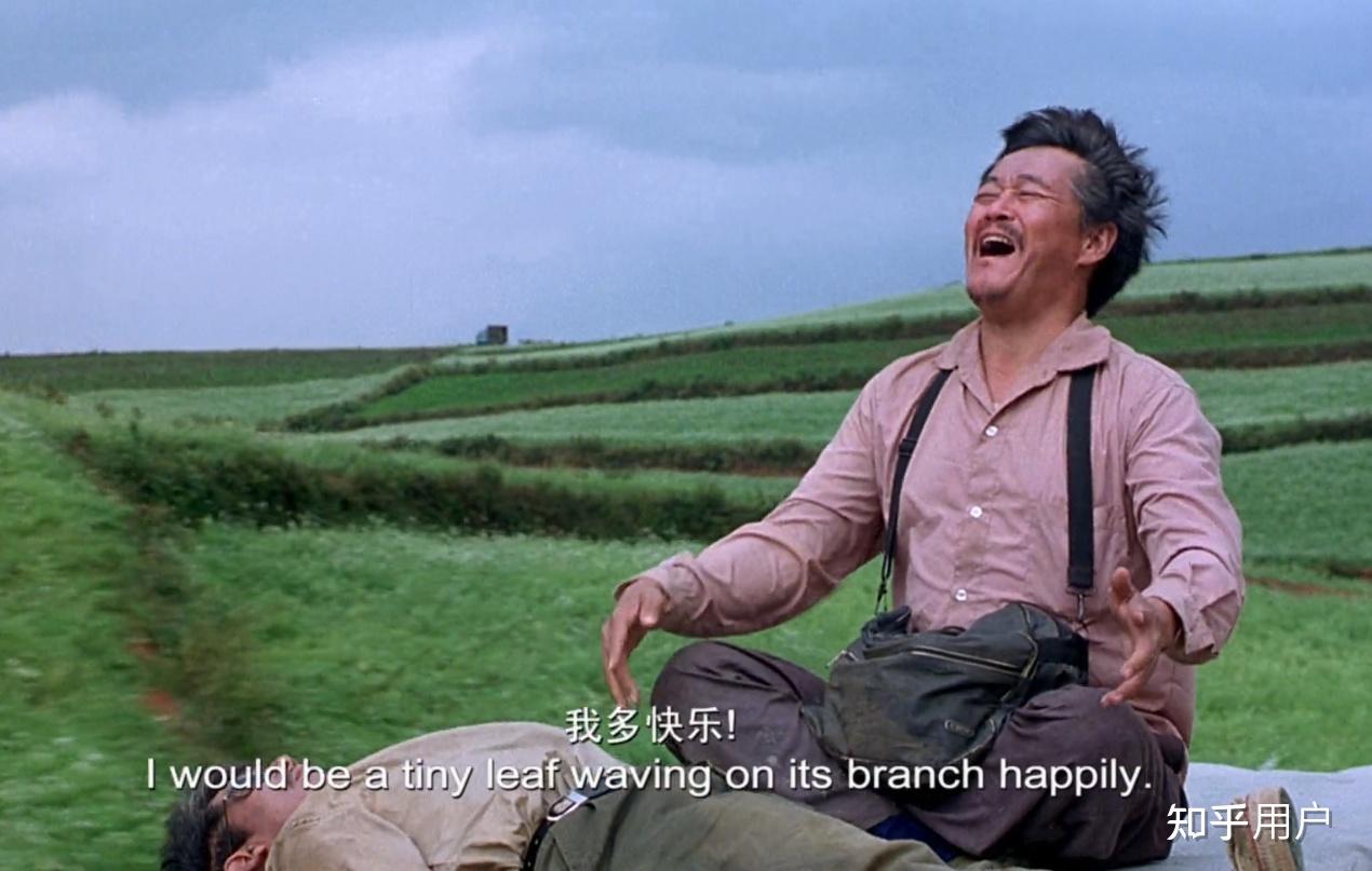 怎么评价电影落叶归根