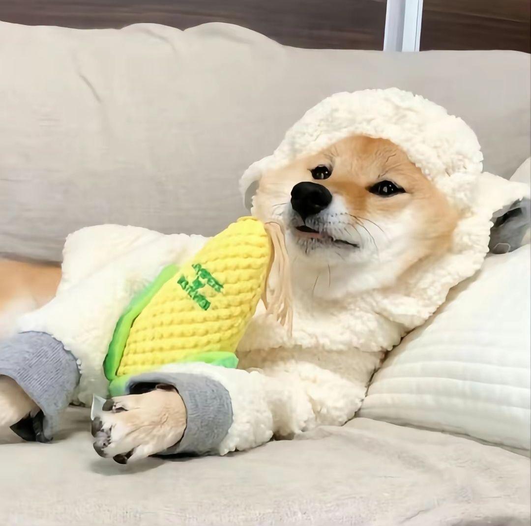 你最喜欢哪个中二表情头像