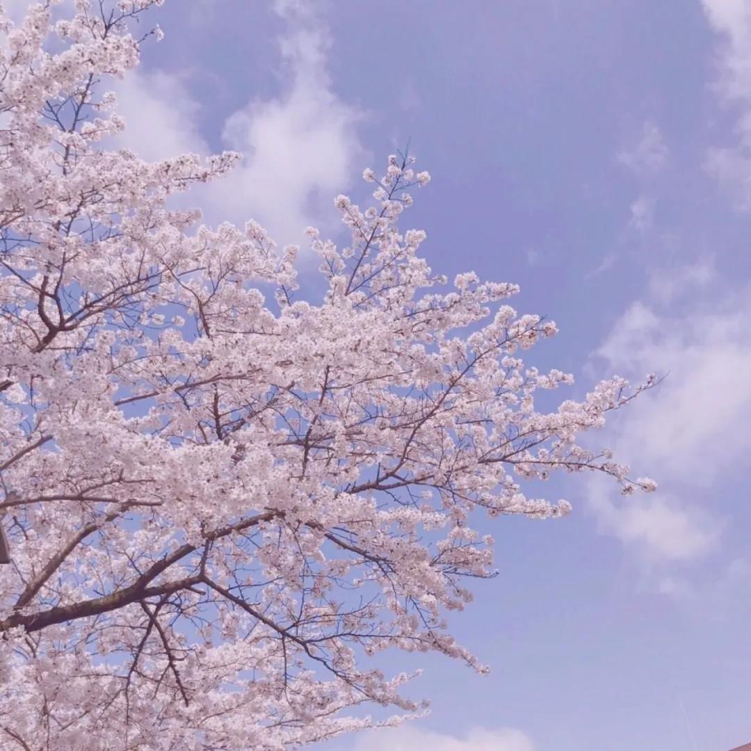 有好看的qq背景图吗?