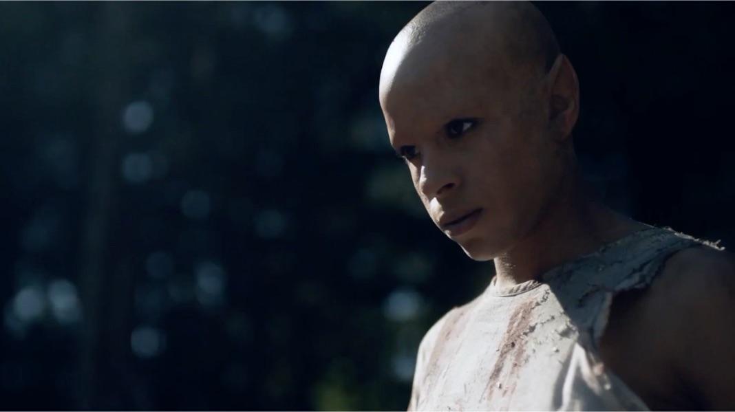 一口气看完科幻惊悚剧《黑松镇》第二季:未知物种进化成人类 - 知乎