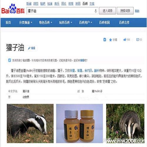 獾子油 - 知乎