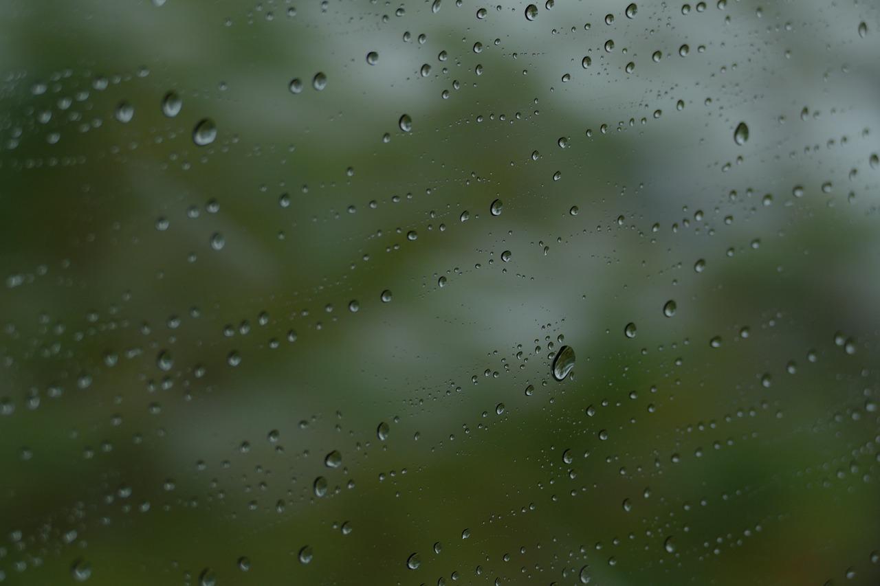 雨声滴答，听觉交响