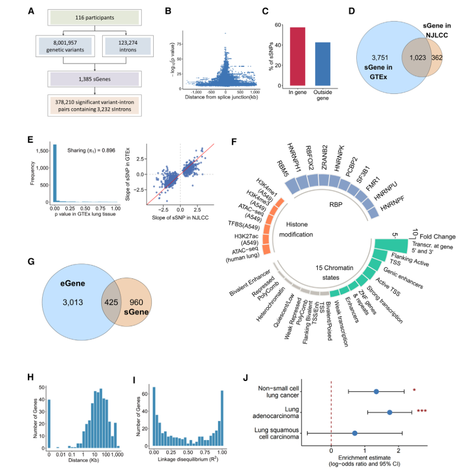 AJHG | 基于剪接数量性状位点的综合分析，揭示NSCLC风险位点 - 知乎