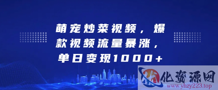 萌宠炒菜视频，爆款视频流量暴涨，单日变现1k