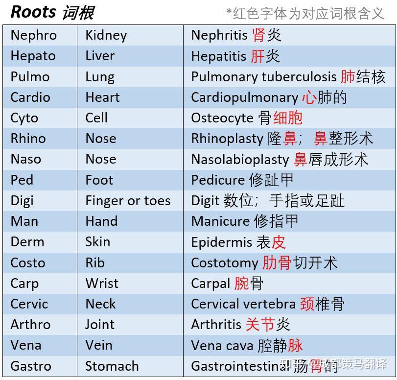 干货 | 9分钟轻松入门医学翻译词汇 - 知乎