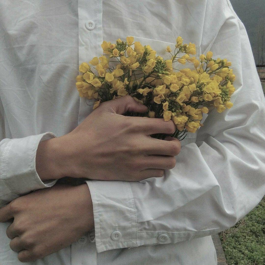 男生抱着花的图片大全图片