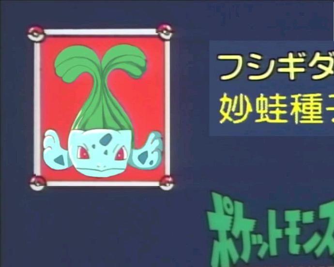 有没有神奇宝贝我是谁那种的表情包? - 知乎